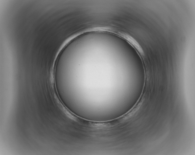 X0000111881436200907301128