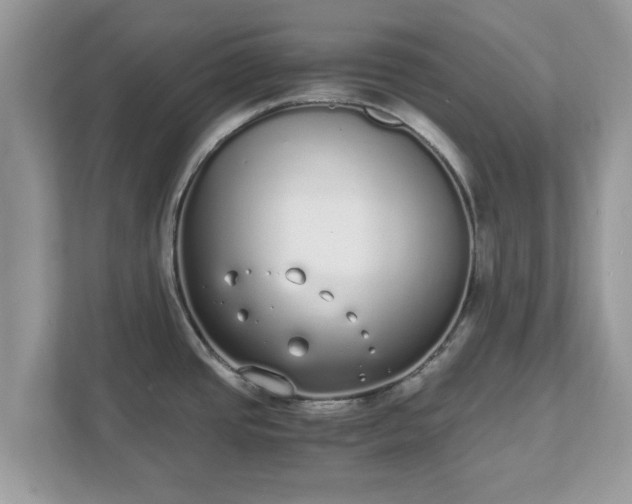 X0000111881437200907301128