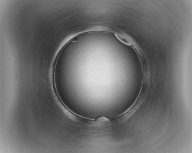X0000111881438200907301128