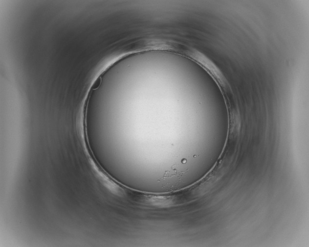 X0000111881439200907301128