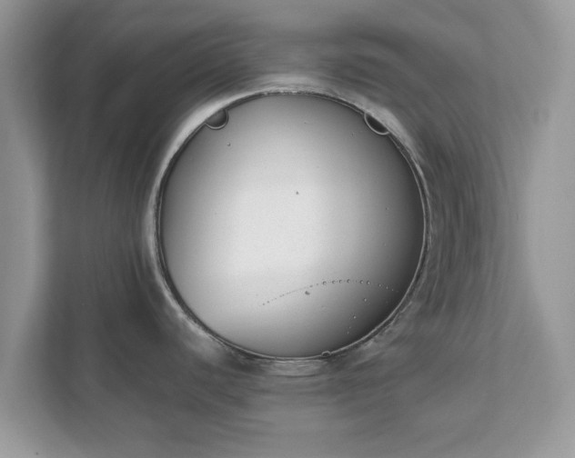 X0000111881440200907301128