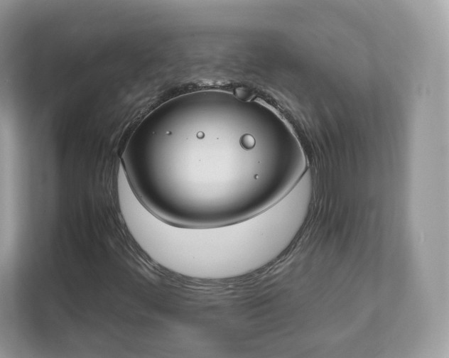 X0000111881444200907301127