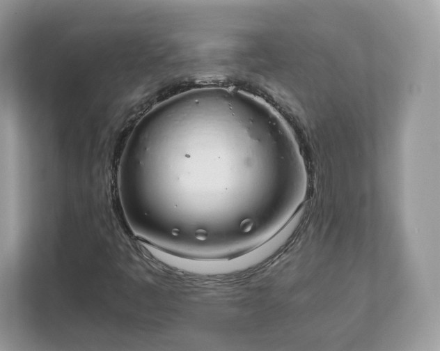 X0000111881445200907301127