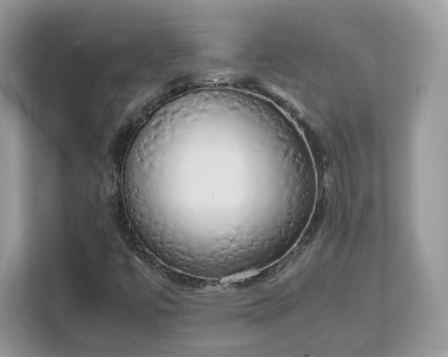 X0000111881447200907301127