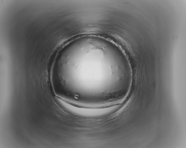 X0000111881449200907301127