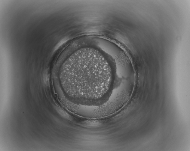 X0000111881450200907301127