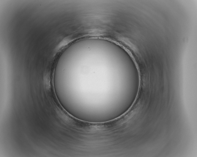 X0000111881451200907301127