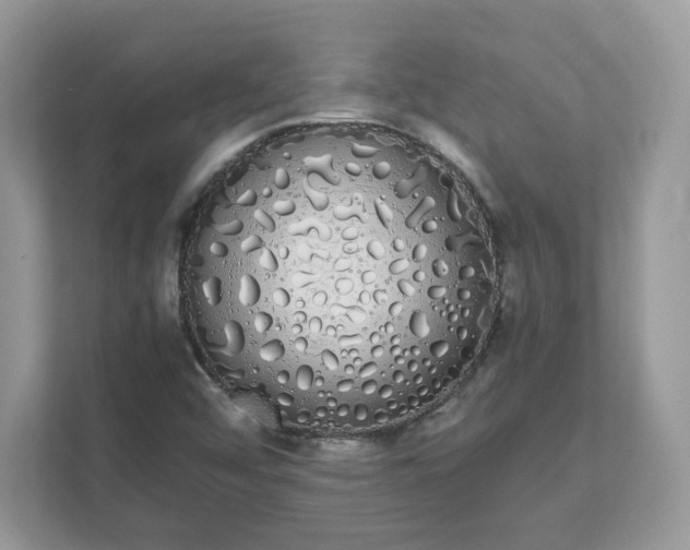 X0000111881456200907301127