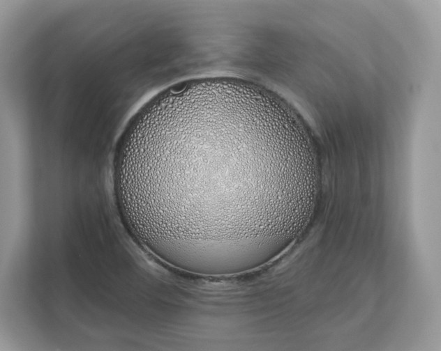 X0000111881460200907301127