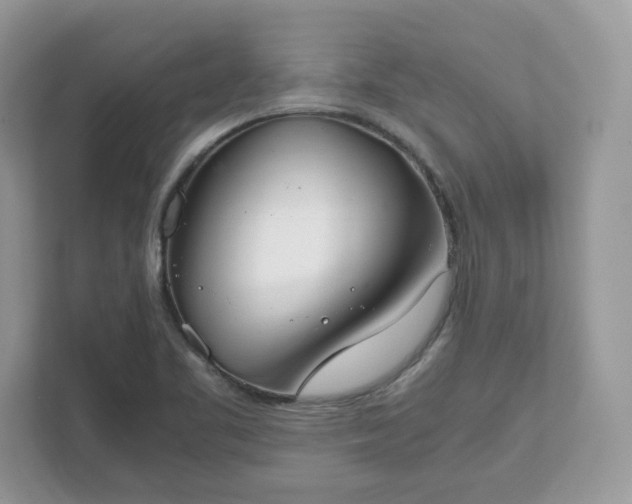 X0000111881461200907301127