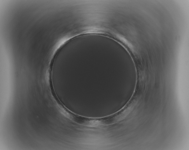 X0000111881463200907301127