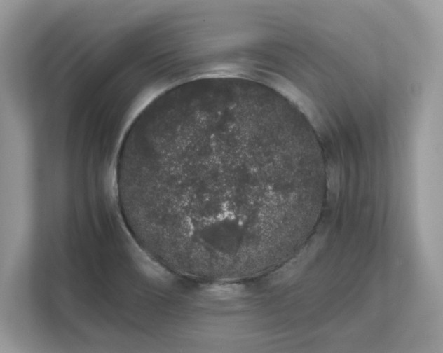 X0000111881466200907301127