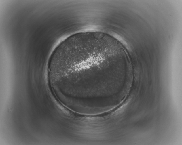 X0000111881469200907301127