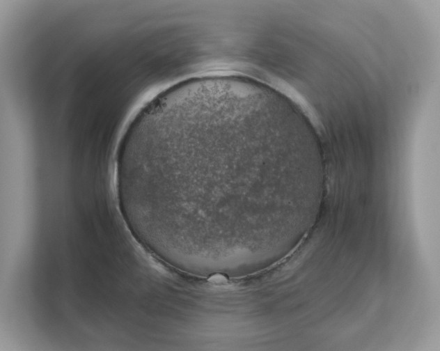 X0000111881472200907301127