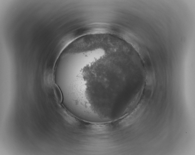 X0000111881473200907301127
