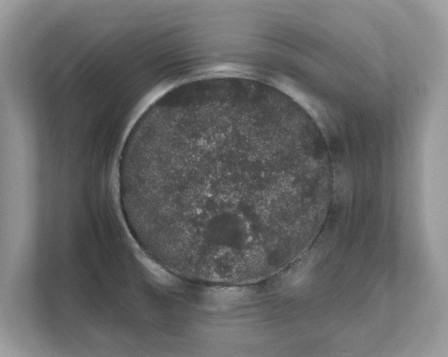 X0000111881474200907301127