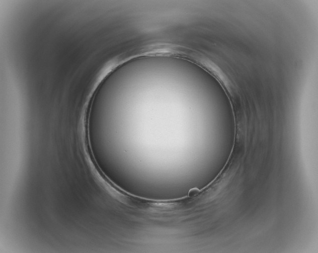 X0000111881483200907301127