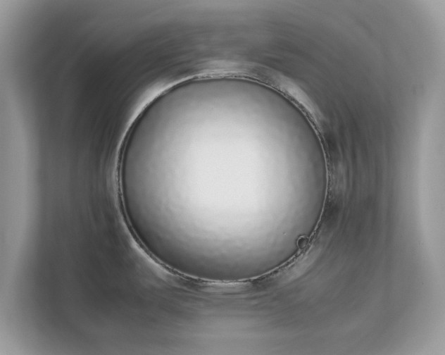X0000111881487200907301127