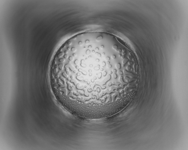 X0000111881488200907301127