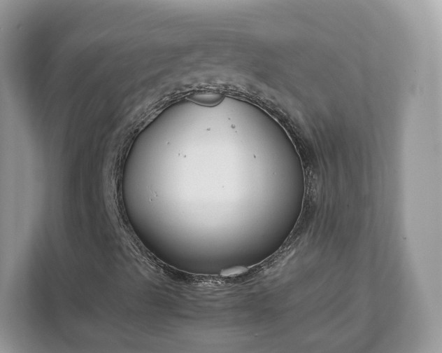 X0000111881489200907301126