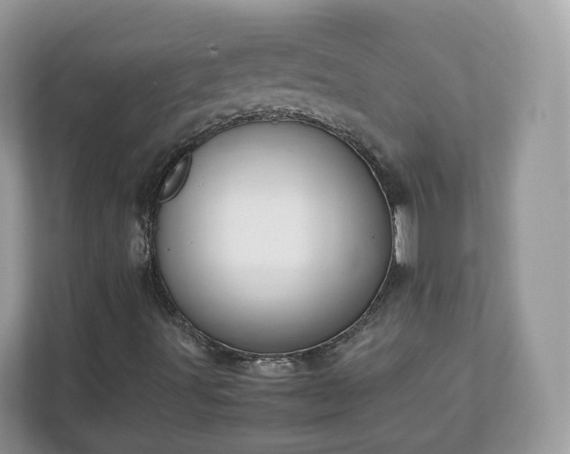 X0000111881491200907301126