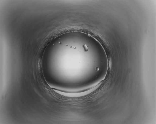 X0000111881492200907301126