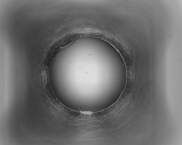 X0000111881493200907301126