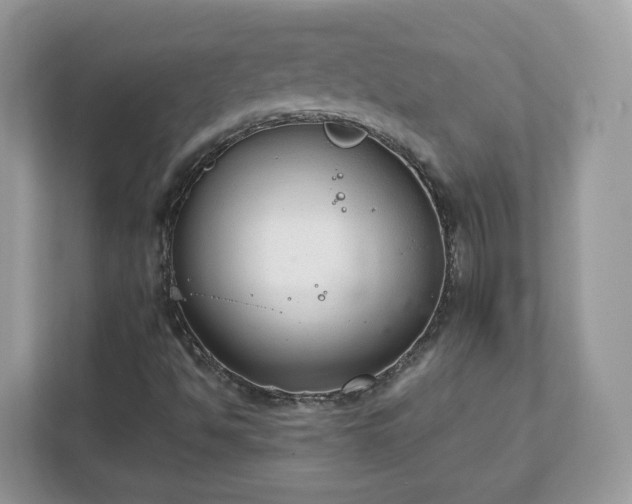 X0000111881494200907301126