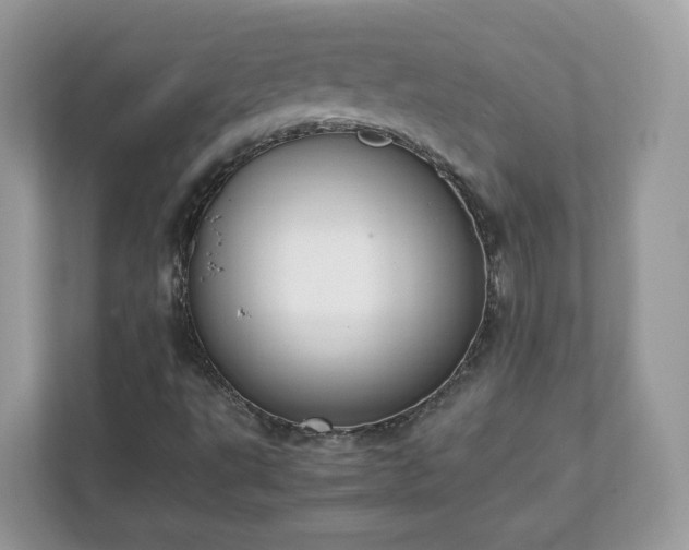X0000111881495200907301126