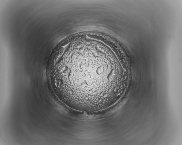 X0000111881497200907301126