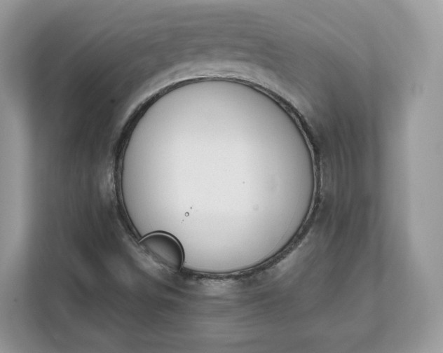 X0000111881498200907301126