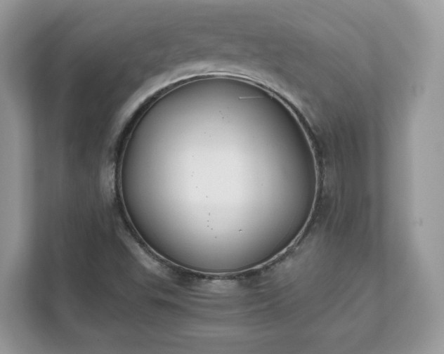 X0000111881503200907301126