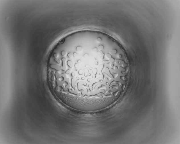 X0000111881504200907301126