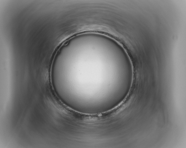 X0000111881505200907301126