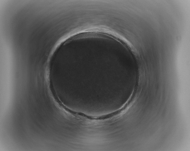 X0000111881506200907301126