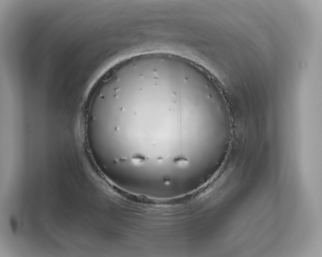 X0000111881510200907301126