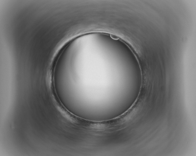 X0000111881511200907301126