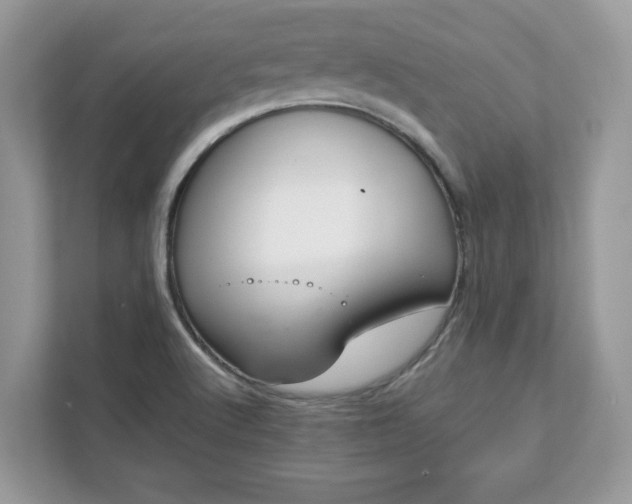 X0000111881512200907301126