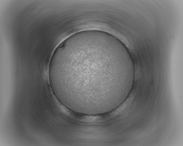 X0000111881513200907301126
