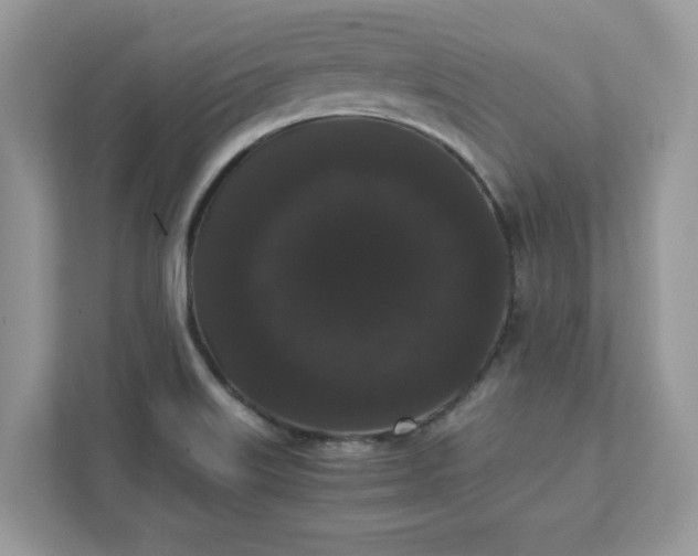 X0000111881515200907301126