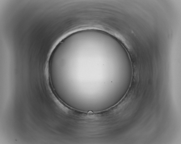X0000111881516200907301126