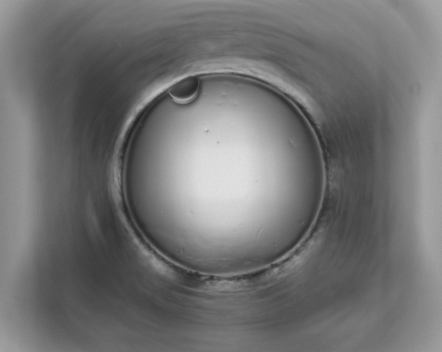 X0000111881517200907301126