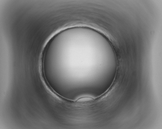 X0000111881518200907301126