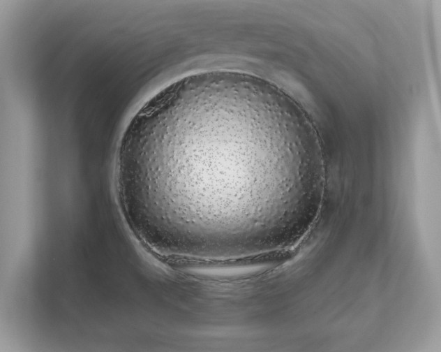 X0000111881520200907301126