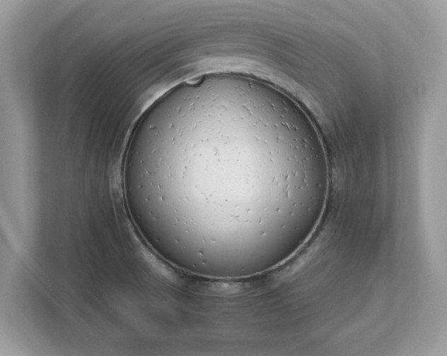 X0000111881521200907301126