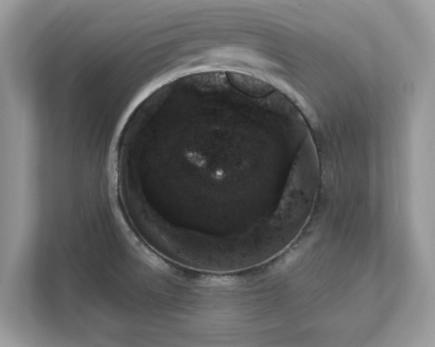 X0000111881522200907301126