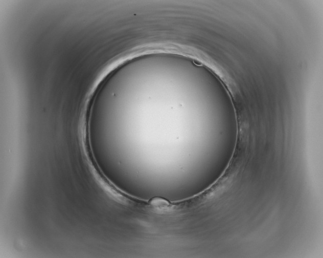 X0000111881523200907301126