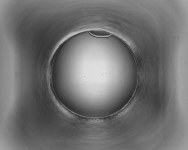 X0000111881526200907301126