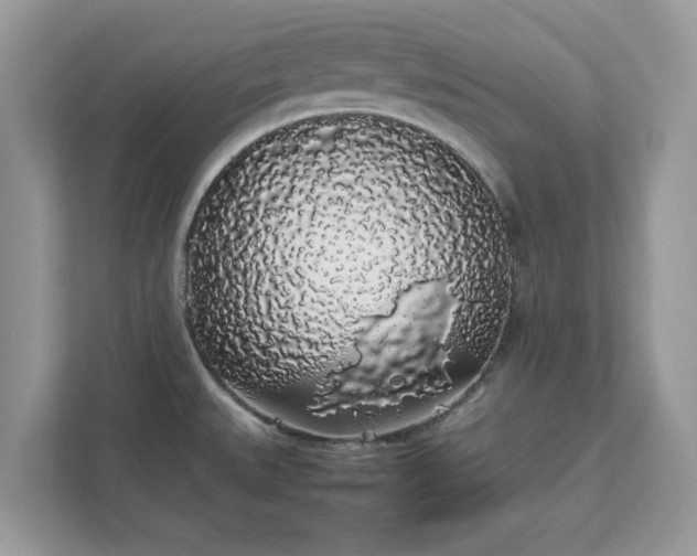 X0000111881527200907301126