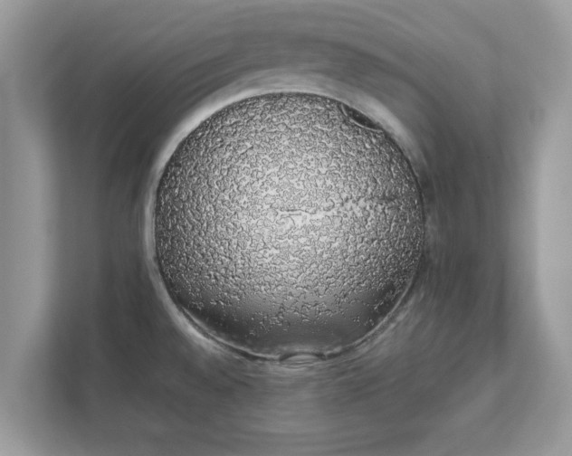 X0000111881528200907301126